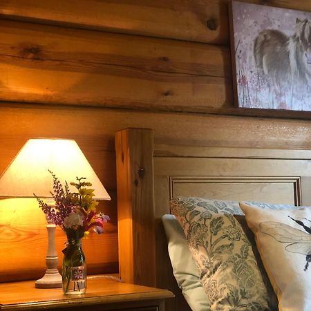 Log Home Village 阿尔弗斯顿 外观 照片