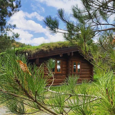 Log Home Village 阿尔弗斯顿 外观 照片