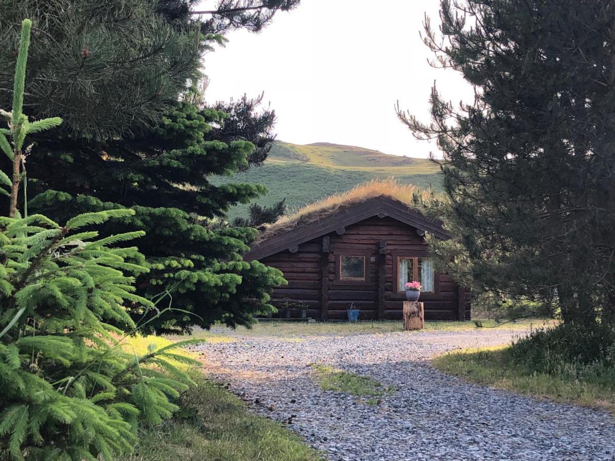 Log Home Village 阿尔弗斯顿 外观 照片