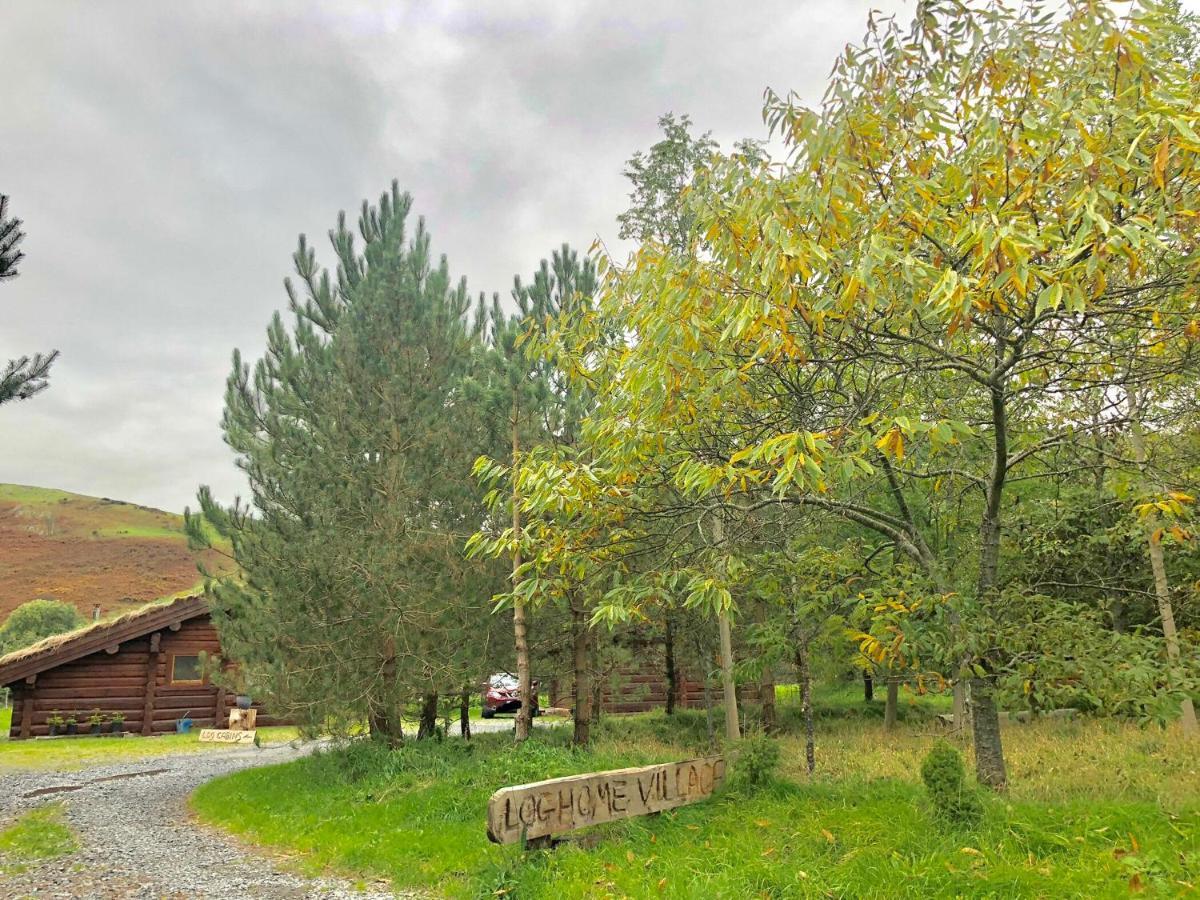 Log Home Village 阿尔弗斯顿 外观 照片