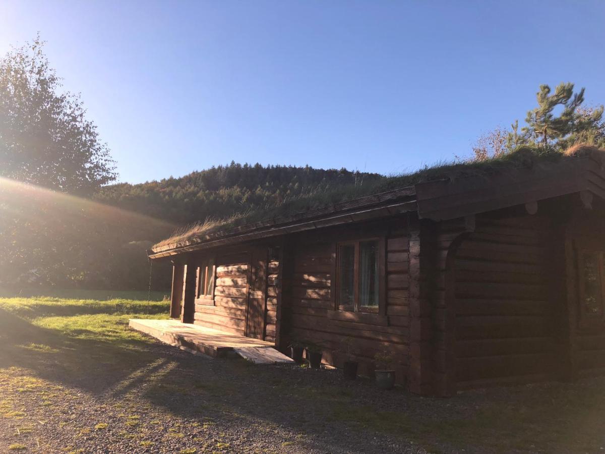 Log Home Village 阿尔弗斯顿 外观 照片