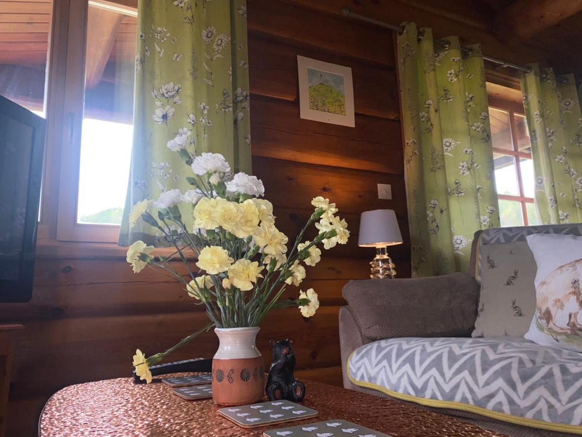 Log Home Village 阿尔弗斯顿 外观 照片