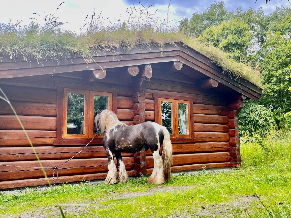 Log Home Village 阿尔弗斯顿 外观 照片